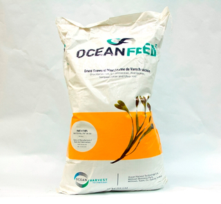 OceanFeed POULTRY - Dried Seaweed Meal